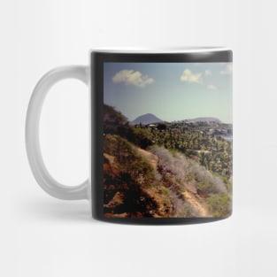 Vintage Hawaii Mug